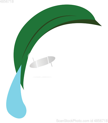 Image of A dew drop falling vector or color illustration
