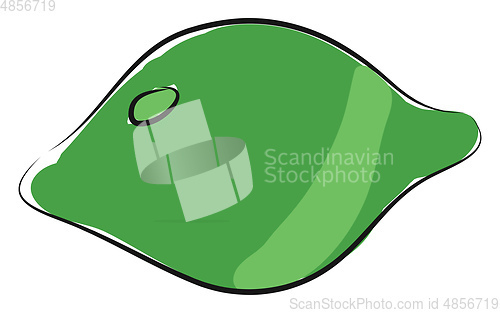 Image of Lime illustration vector on white background