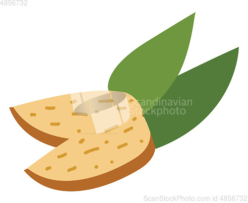 Image of A brown cartoon nut with two green leaves vector or color illust