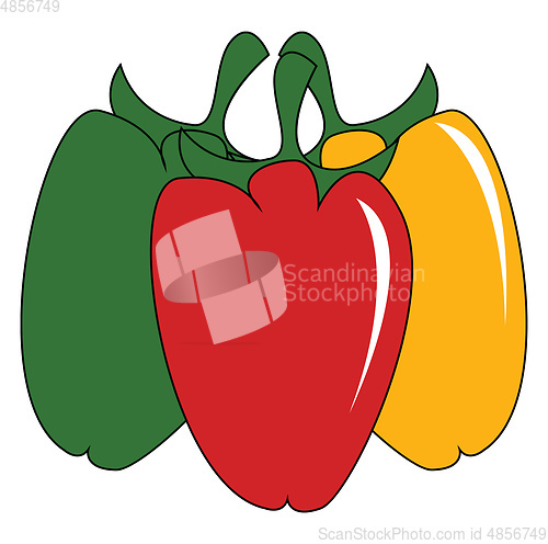 Image of Three colorful pepper vector or color illustration