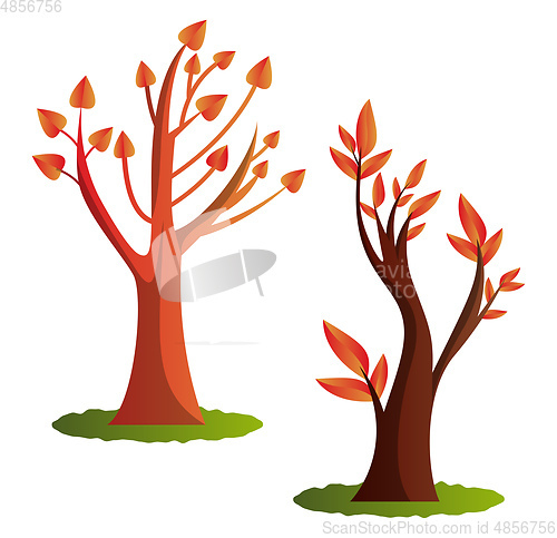 Image of Two autumn tree vector illustration on white background