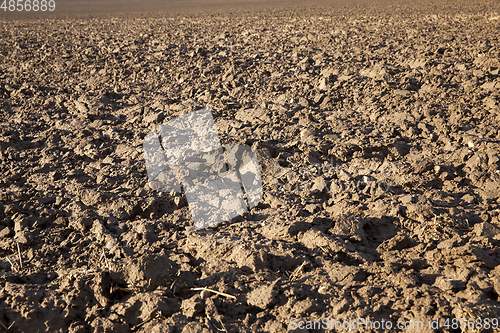 Image of the soil in the field