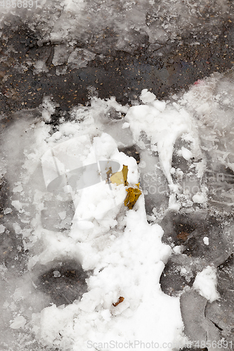 Image of asphalt road melting snow leaves