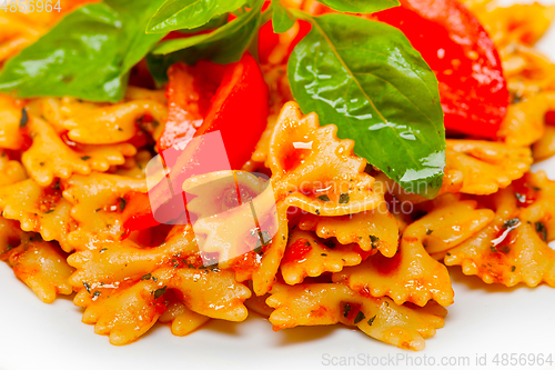 Image of Italian pasta farfalle butterfly bow-tie and tomato sauce