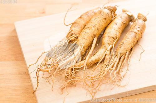 Image of Fresh ginseng over wooden background