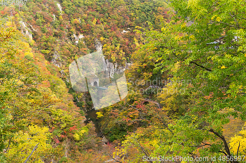 Image of Naruko Gorge with colorful autumn foliage