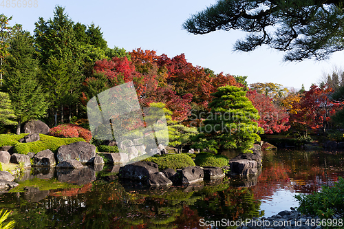 Image of Japanese garden with red maple foliage 