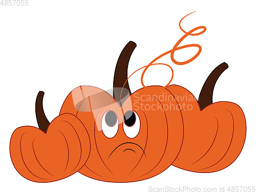 Image of Three pumpkins vector or color illustration