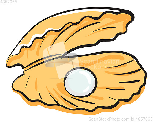 Image of Cartoon oyster with a pearl vector or color illustration