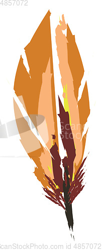 Image of Brown color feather vector or color illustration