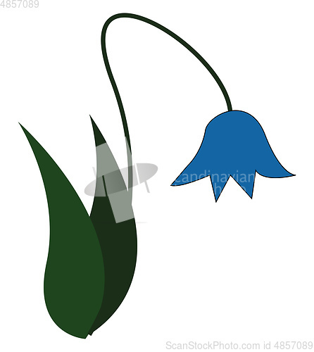 Image of A blue flower vector or color illustration