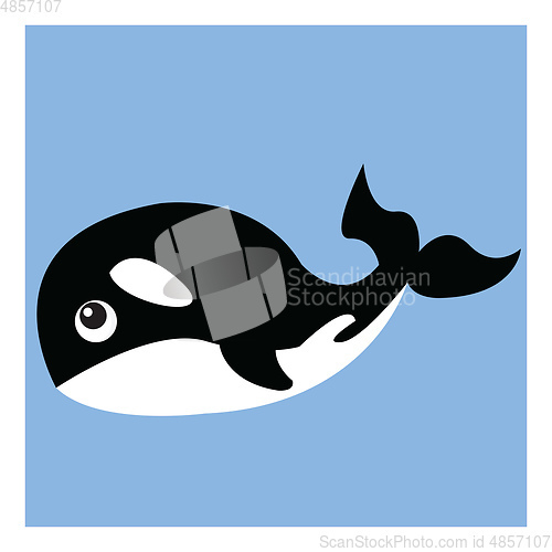 Image of Cartoon of a killer whale sea animal vector or color illustratio