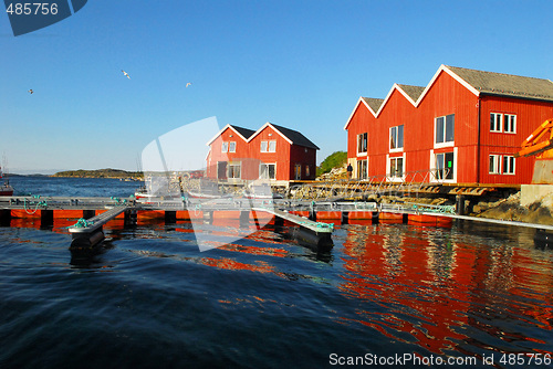 Image of Norway seashore