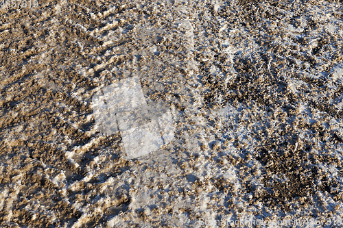 Image of Traces on the snow