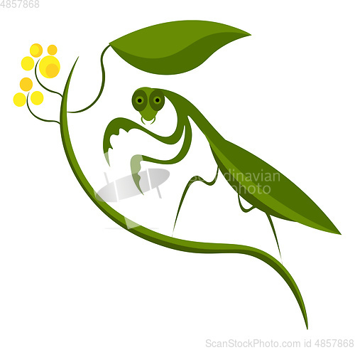 Image of A praying green mantis vector or color illustration