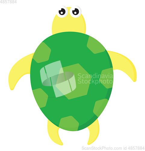 Image of A cute green and yellow colored cartoon turtle vector or color i