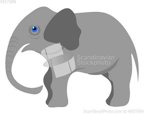 Image of Baby elephant vector illustration 