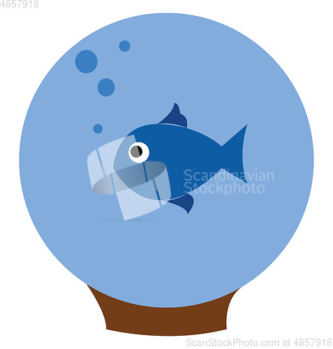 Image of A beautiful blue fish floating in the round dome shape aquarium 