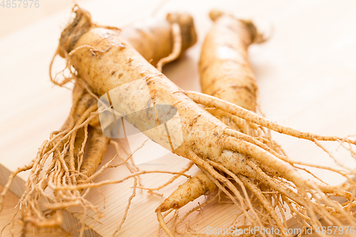 Image of Ginseng