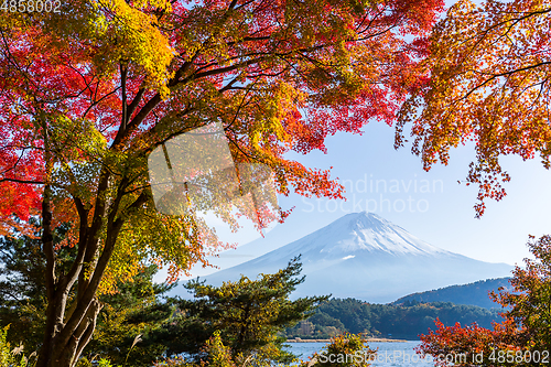 Image of Fuji Autumn