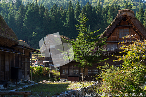 Image of Japanese Village 