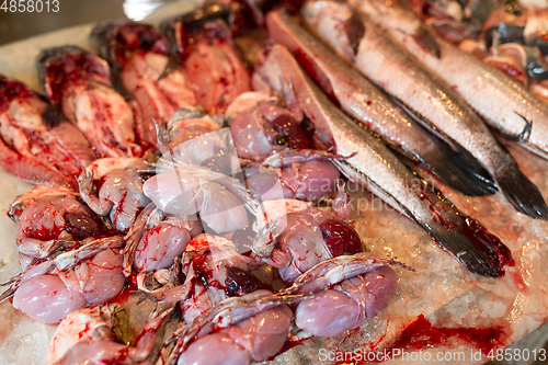 Image of Fish in wet market