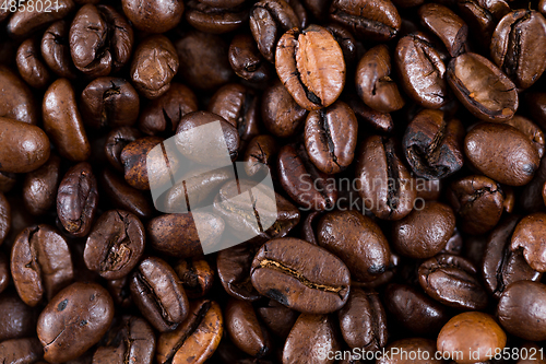 Image of Coffee bean texture