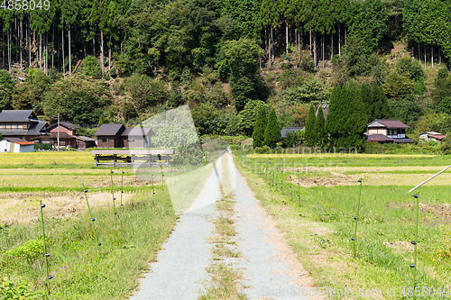 Image of Natural Countryside