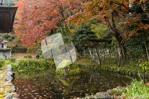 Image of Beautiful landscape in japanese temple