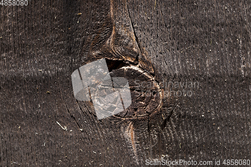 Image of Old wall of boards black old tree trunk