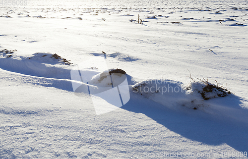 Image of Snow drifts in winter field