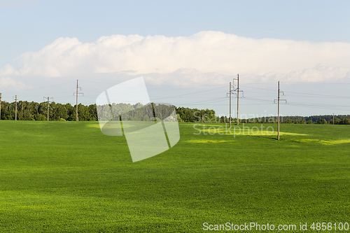 Image of collective farm field