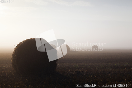 Image of Big haystack