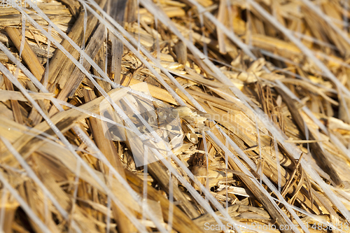 Image of straw string