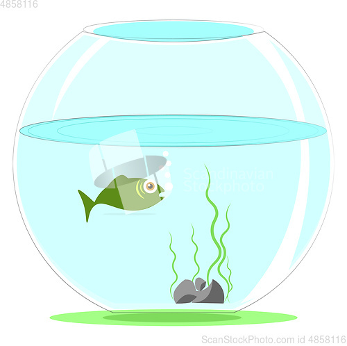 Image of Simple cartoon aquarium fish vector illustration on white backgr