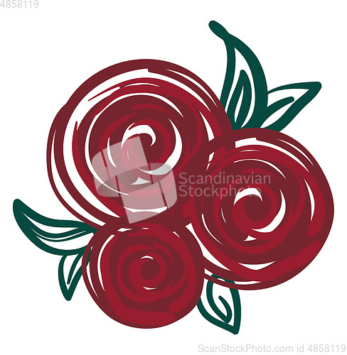 Image of Red rose painting vector or color illustration