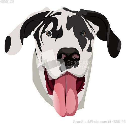 Image of Great Dane illustration vector on white background