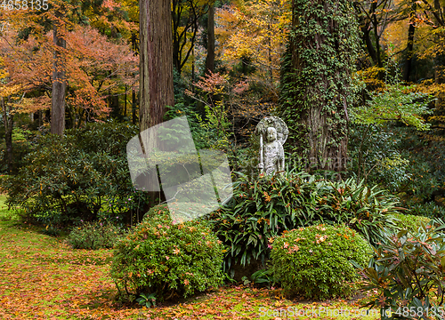 Image of Autumn Japanese garden 