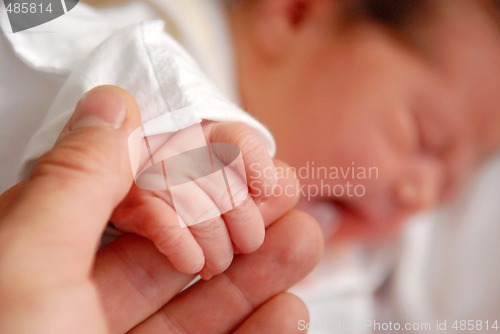 Image of A neonate and its hand