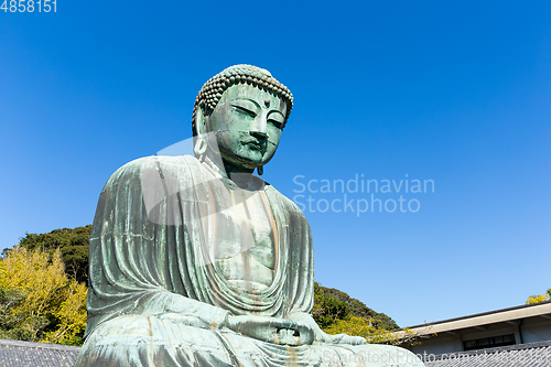 Image of Giant Buddha in Japan