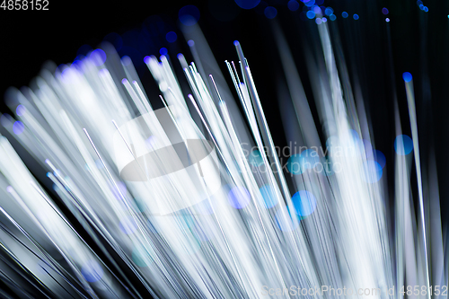 Image of Optical fiber