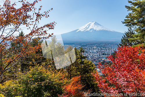 Image of Red maple tree and mountain Fuji