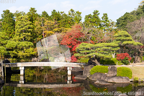 Image of Japanese garden