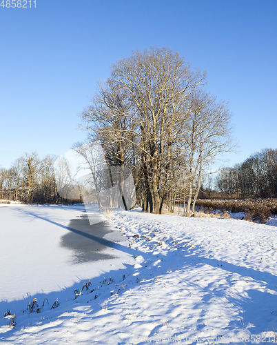 Image of Winter park