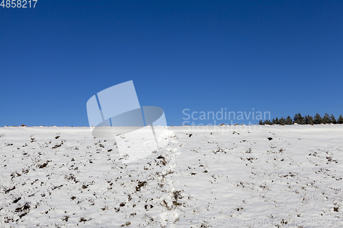 Image of Snow in winter