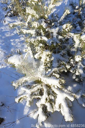 Image of Winter time