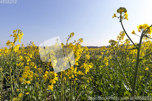 Image of sunny day