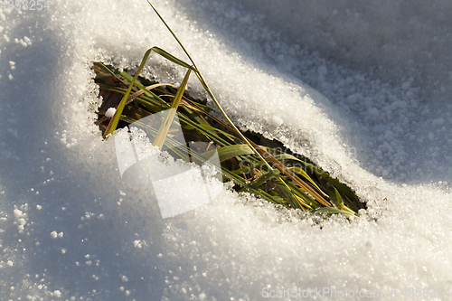 Image of snow thawed