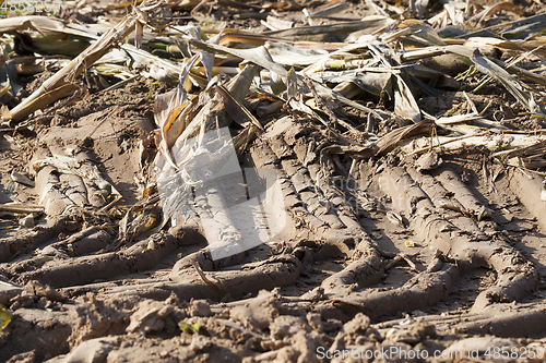 Image of trail tractor