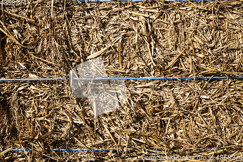 Image of rope straw rye